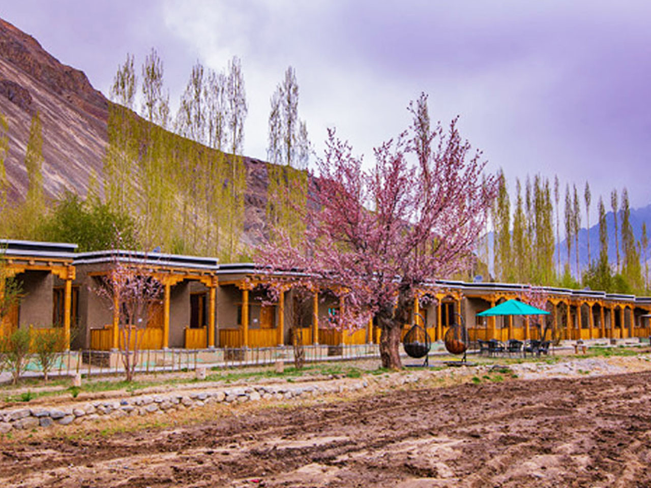 Shangrila Resort Nubra Valley